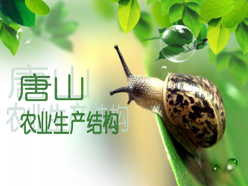 唐山农业产业结构