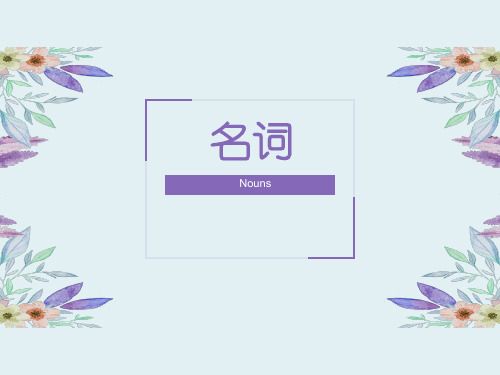 Nouns名词