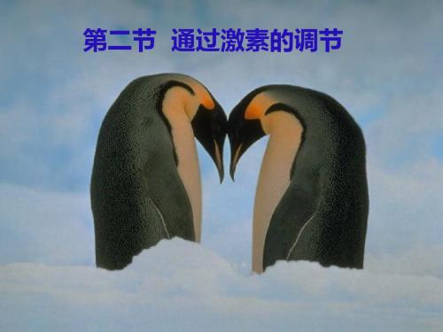 人教版高中生物必修3-稳态与环境：第二节《通过激素的调节》