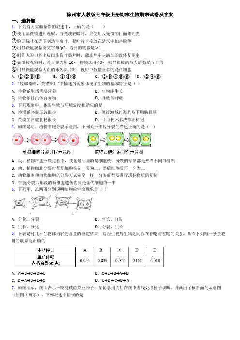 徐州市人教版七年级上册期末生物期末试卷及答案