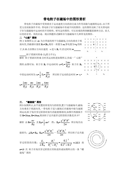带电粒子在磁场中的图形赏析