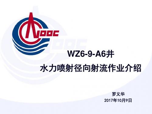 涠洲6-9-A6井水力喷射径向射流作业介绍2015.