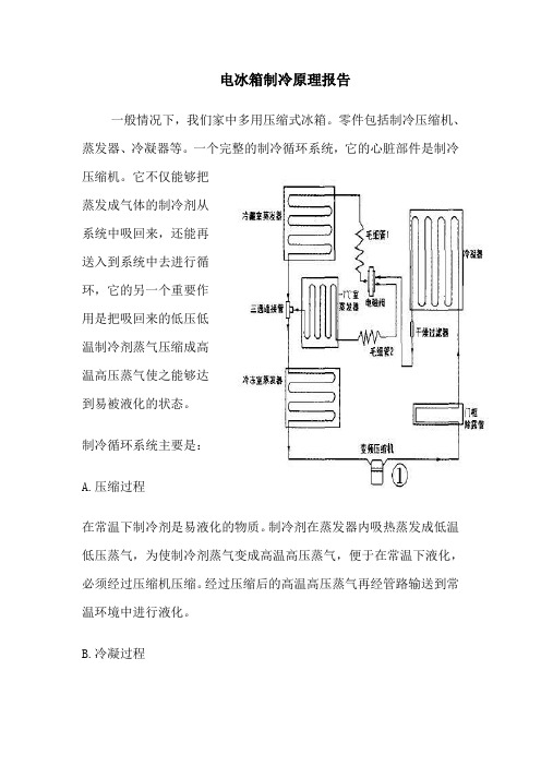 电冰箱制冷原理报告
