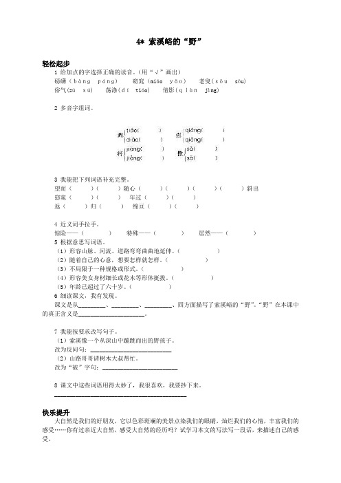 新人教版小学六年级语文上册课课练第十一册 索溪谷的野试题及答案