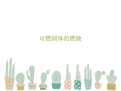 可燃固体的燃烧63页PPT