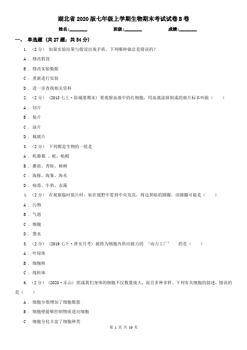 湖北省2020版七年级上学期生物期末考试试卷B卷(精编)