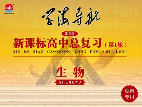 2013届 新课标高中总复习(第1轮)生物(湖南专版) 必修1  第12讲 能量之源——光与光合作用