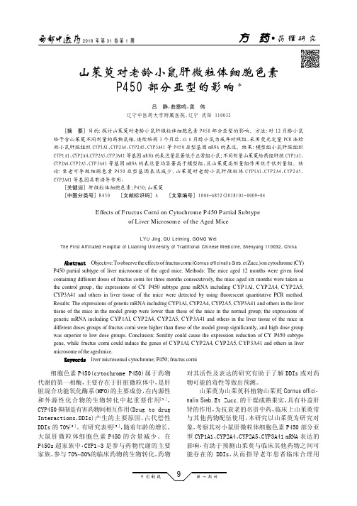 山茱萸对老龄小鼠肝微粒体细胞色素P450部分亚型的影响