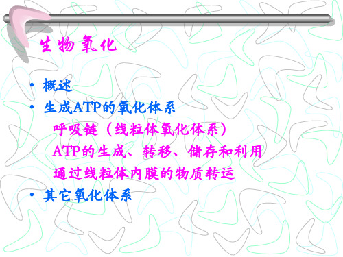 生物氧化