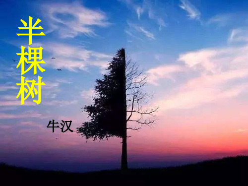 人教版高中语文选修《中国现代诗歌散文欣赏半棵树》(一等奖课件) (3)