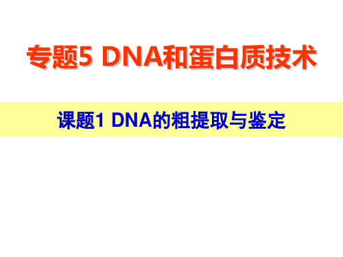 DNA粗提取过程与蛋白质的提取分离、PCR