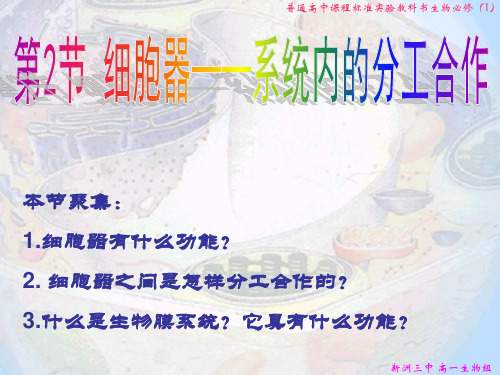 内质网高尔基体