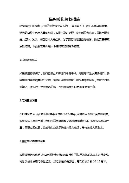猫狗咬伤急救措施