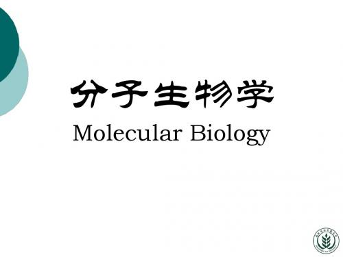 1-绪论分子生物学