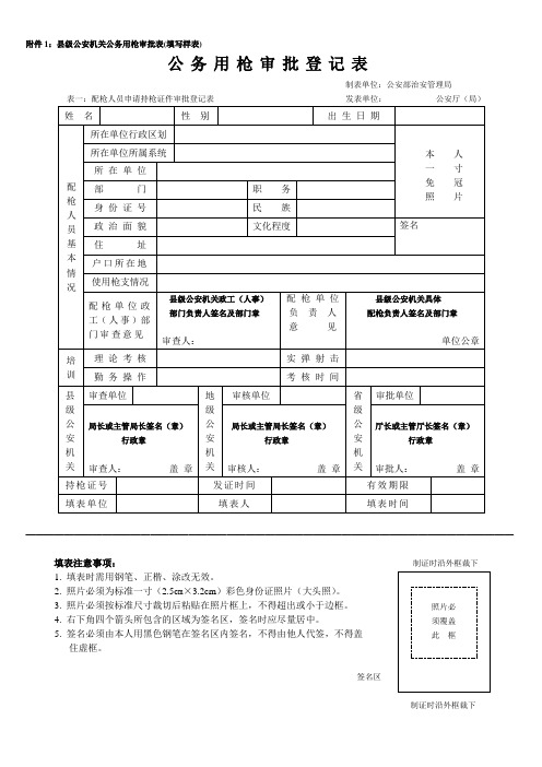 公务用枪