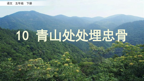 [部编人教版]《青山处处埋忠骨》PPT课件五年级下册第10课