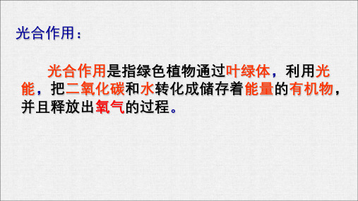 绿色植物的呼吸作用
