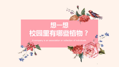 四年级上册科学课件-校园里有哪些植物 (PPT10张) 鄂教版
