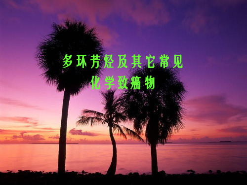多环芳烃及其它常见化学致癌物