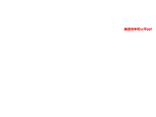 兼顾效率和公平ppt