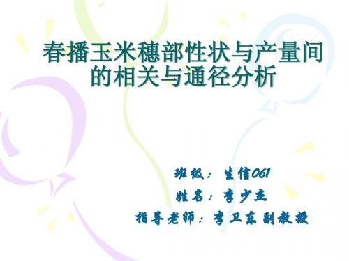 玉米通径分析论文