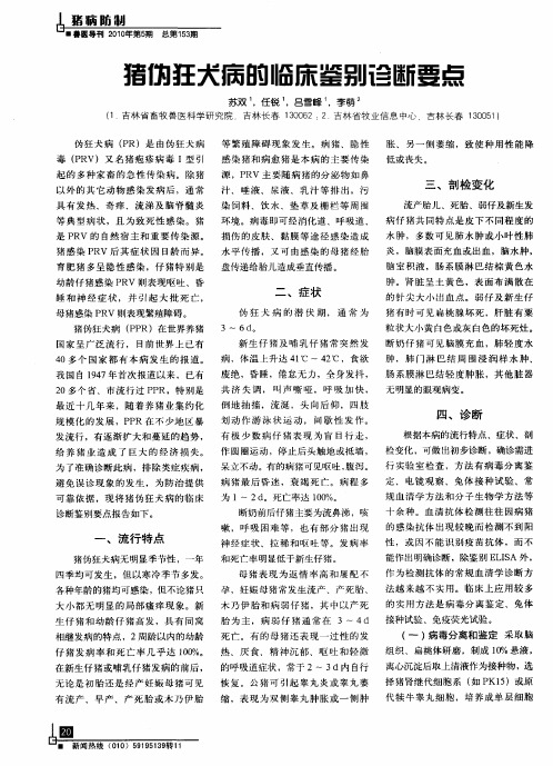 猪伪狂犬病的临床诊断鉴别要点