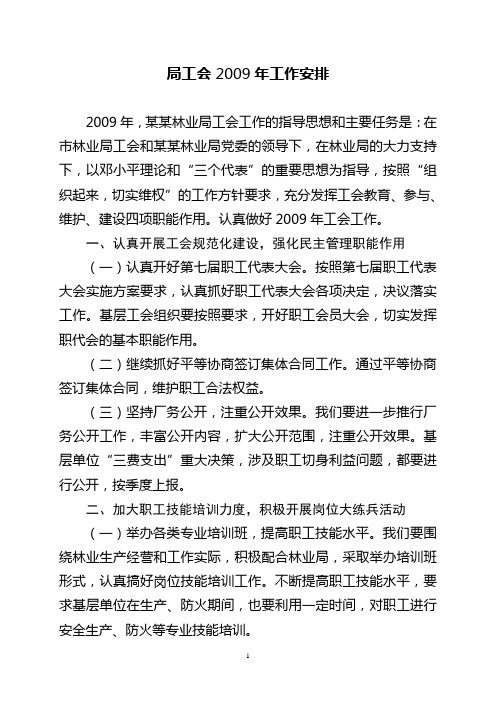 局工会2009年工作安排
