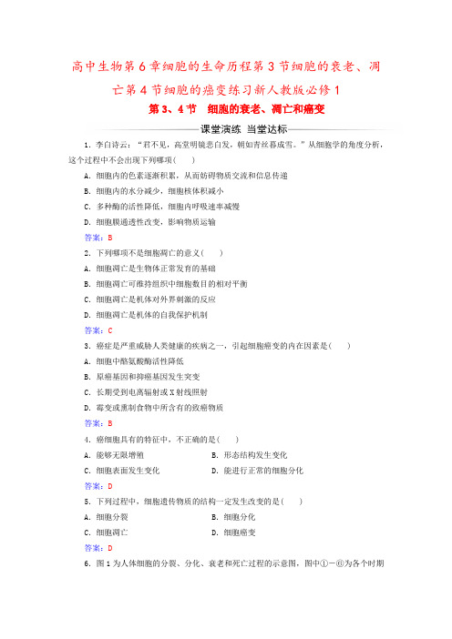 高中生物第6章细胞的生命历程第3节细胞的衰老、凋亡第4节细胞的癌变练习新人教版必修1
