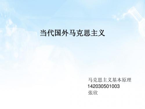当代国外马克思主义 张欣