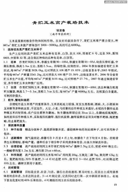 青贮玉米高产栽培技术
