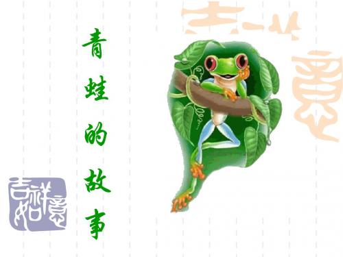 青蛙的故事 教育学