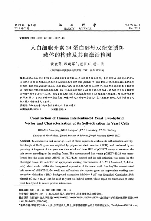 人白细胞介素24蛋白酵母双杂交诱饵载体的构建及其自激活检测