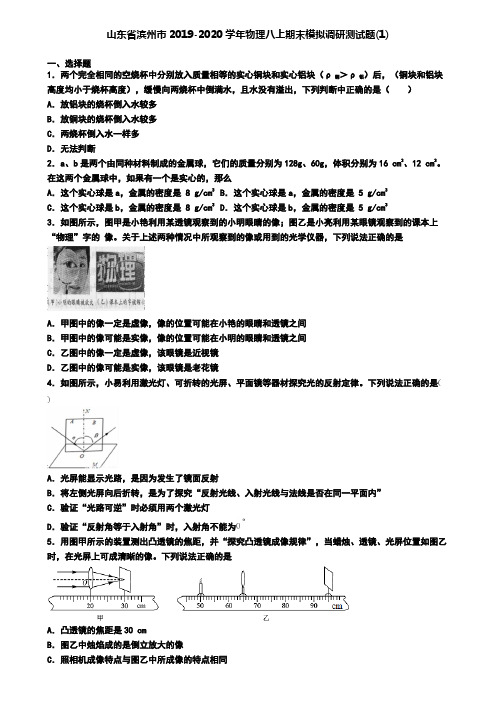 山东省滨州市2019-2020学年物理八上期末模拟调研测试题(1)