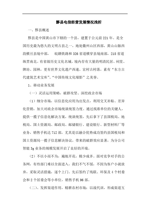 黟县电信经营发展情况浅析