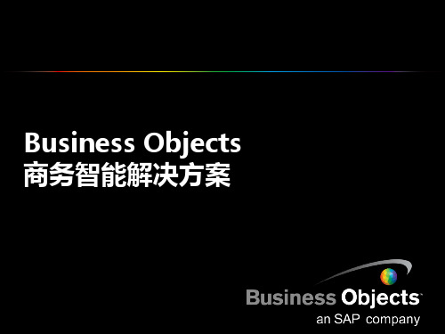 SAP-BOBJ项目介绍PPT课件