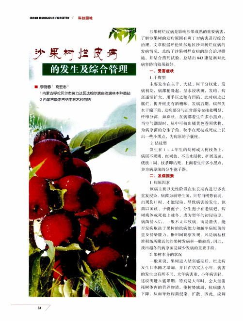 沙果树烂皮病的发生及综合管理