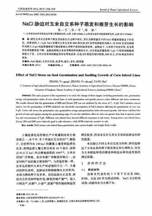 NaCl胁迫对玉米自交系种子萌发和根芽生长的影响