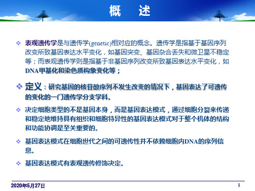 表观遗传学1
