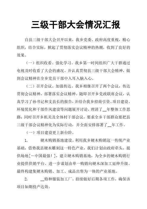 三级干部大会情况汇报