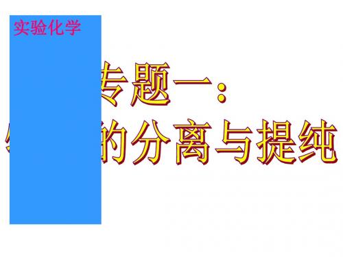 人教课标版  物质的分离和提纯PPT2