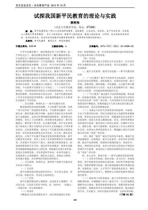 试探我国新平民教育的理论与实践