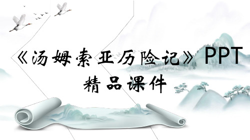 《汤姆索亚历险记》PPT精品课件