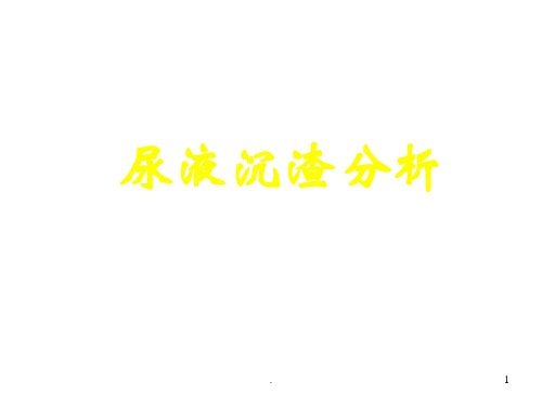 (精选课件)尿液有形成分分析(完整版)PPT幻灯片