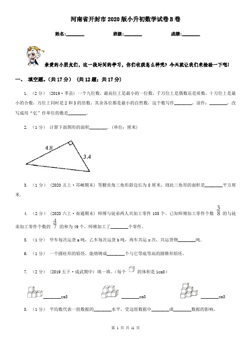 河南省开封市2020版小升初数学试卷B卷