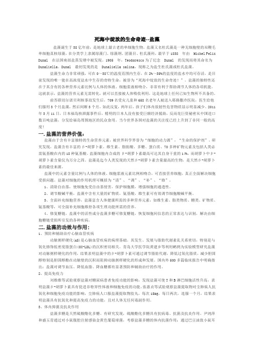 死海中绽放的生命奇迹--盐藻