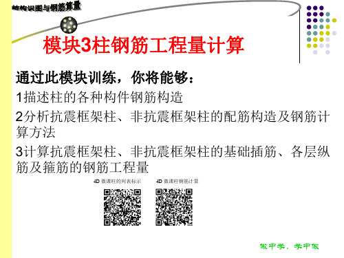 结构识图和钢筋算量模块3 柱钢筋工程量计算-文档资料