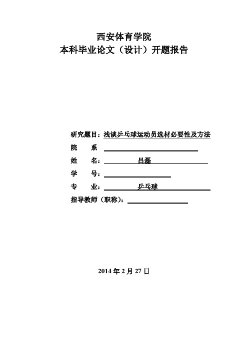 _开题报告
