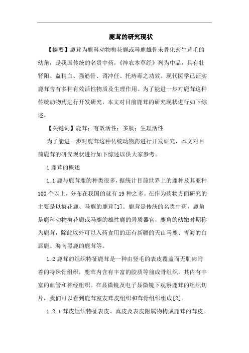 鹿茸的研究现状