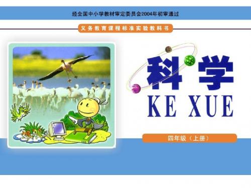 四年级上册科学课件-2.1 动物的特征 ｜湘教版(一起)  (共25张PPT)