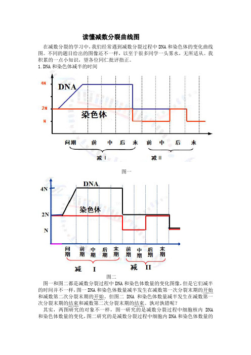 读懂减数分裂曲线图